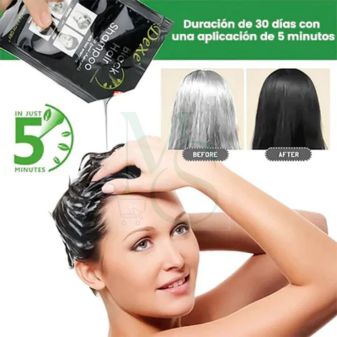 BLACK HAIR™ -SHAMPOO PINTA CANAS NEGRO, 12 UNIDADES.
